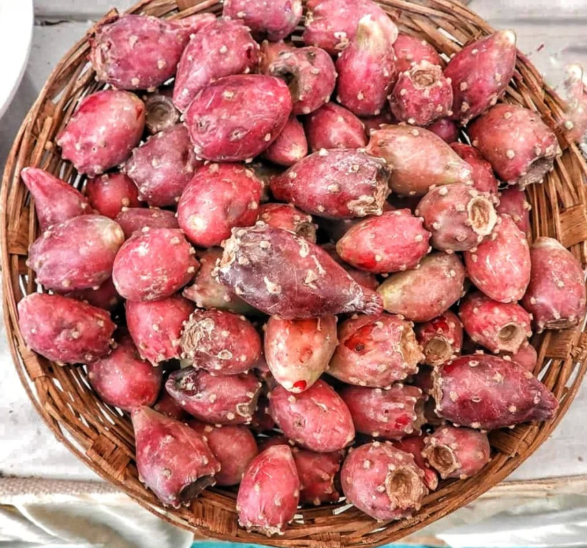 Dragon fruit for skin health: Fresh pink pitaya with black seeds, paired with cactus pads - two antioxidant-rich superfoods for glowing Indian skin.
