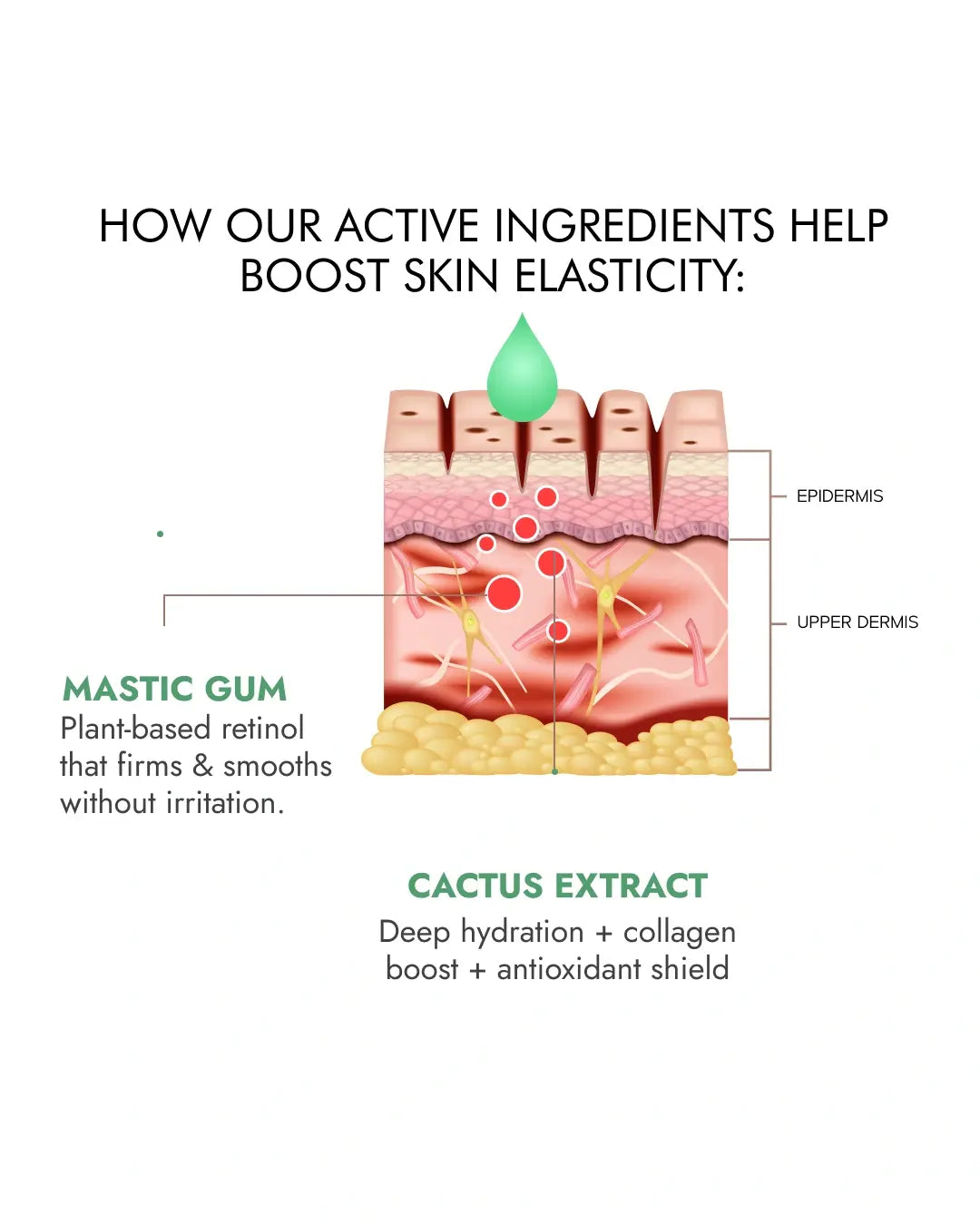 India’s First Mexican Cactus-Infused Skin Tightening Cream