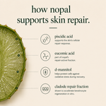 nopal cactus night repair cream