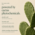 nopal cactus de-tan face mask