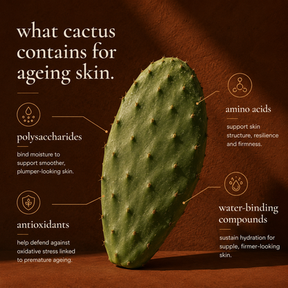 nopal cactus face tightening cream