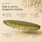 nopal cactus soothing moisturiser