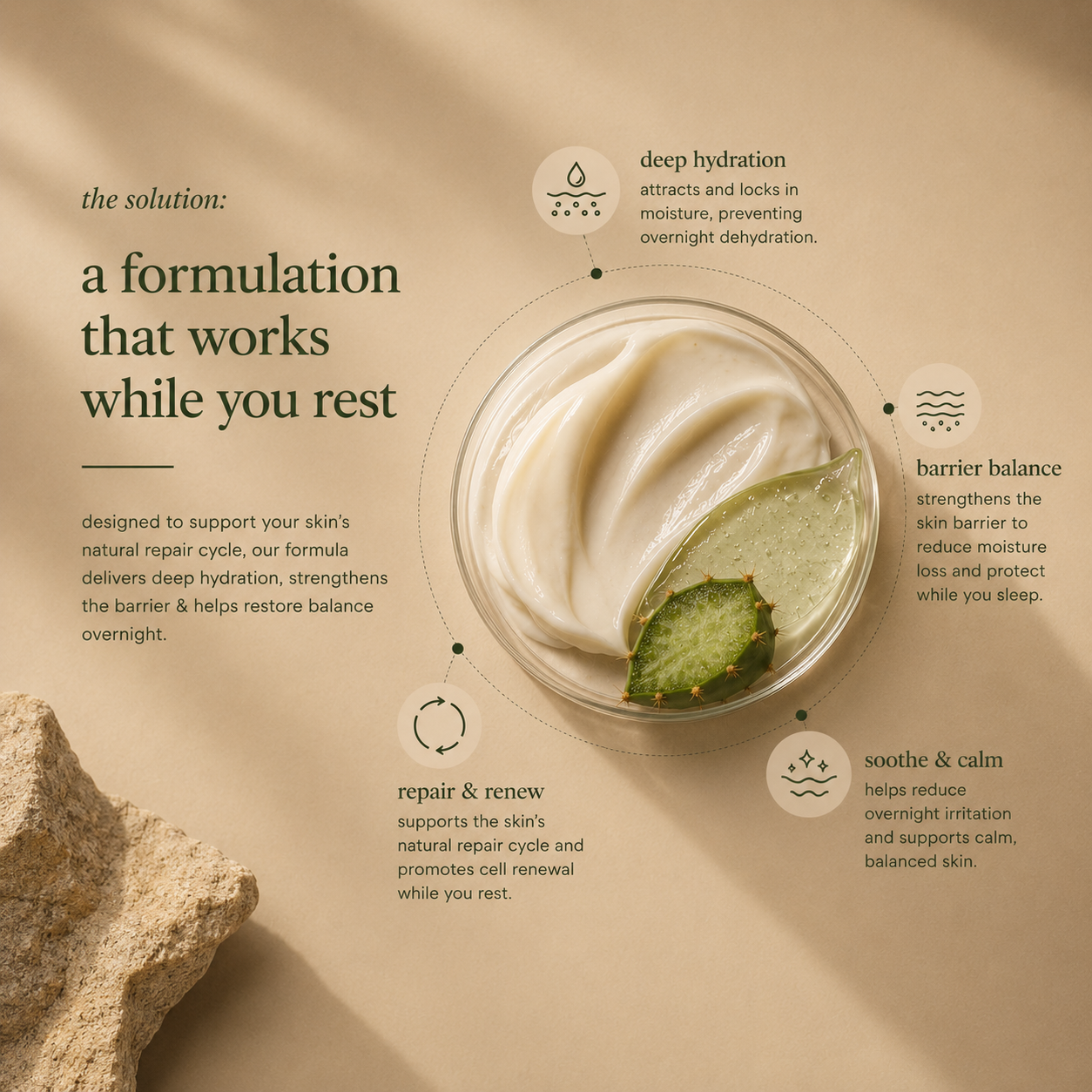 nopal cactus night repair cream